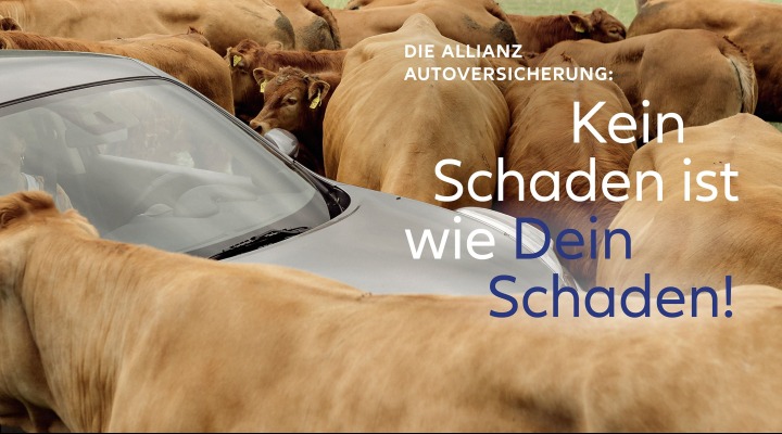 Allianz Versicherung Arnulf Grimmeißen Fremdingen - KFZ-Versicherung