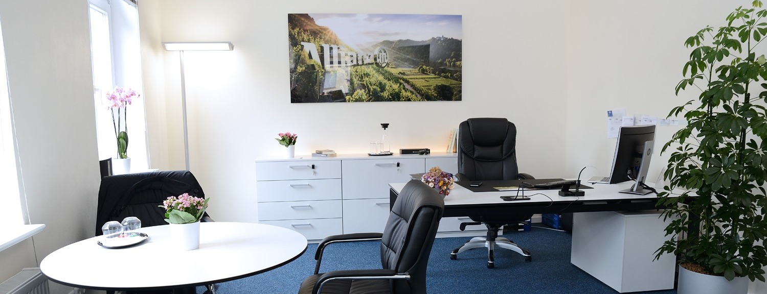 Allianz Versicherung Dirk Rückert Brandenburg - Agentur-Büroansicht