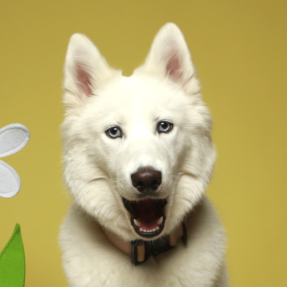 Allianz Versicherung Versicherungsbüro Agca Inh. Mikail Agca Memmingen - Lilly Agca