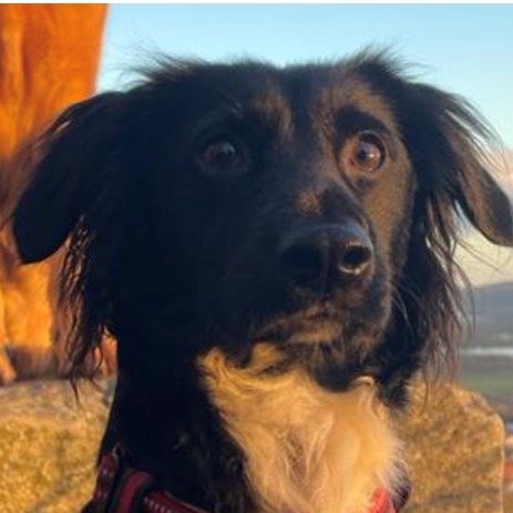 Allianz Versicherung Susanne Bloß Schweinfurt - Fina Gehling