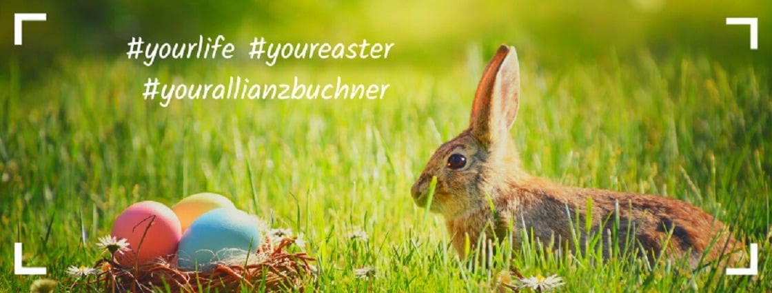 Allianz Versicherung Generalvertretung Andreas Buchner Arnstorf - Allianz Buchner Arnstorf Onlineberatung KfZ Auto