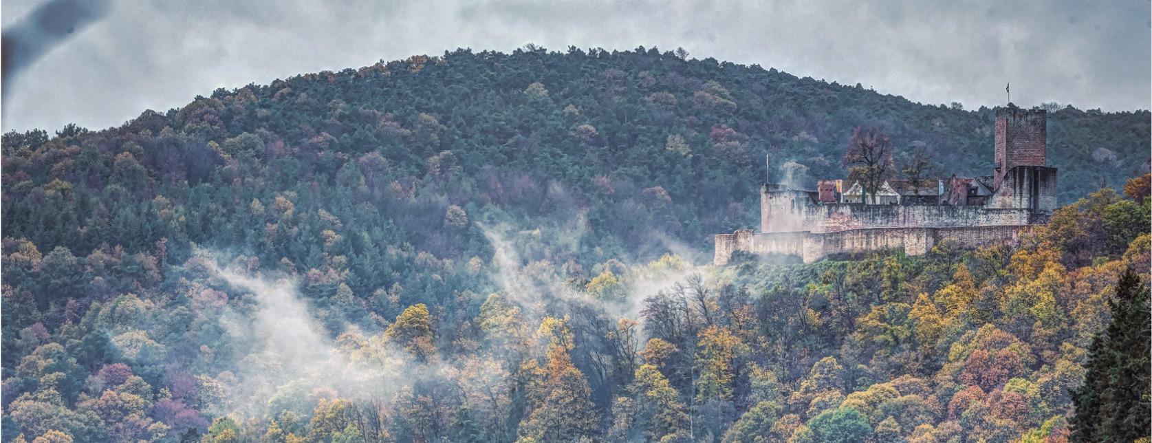 Allianz Versicherung Sebastian Christill Bad Bergzabern - Unsere wunderbare Südpfalz!