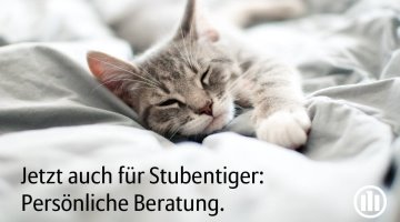 Allianz Versicherung Arndt Colberg Neuried - Standard Artikel Bild