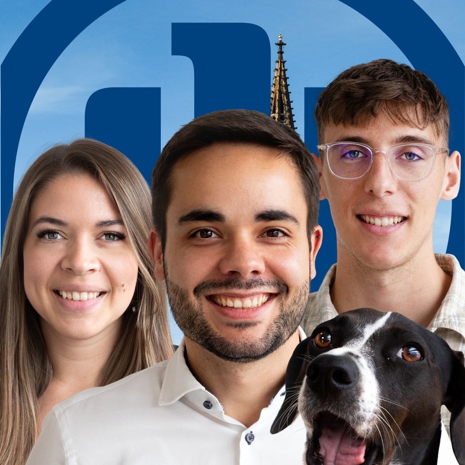 Allianz Versicherung David Pereira da Cruz Freiburg im Breisgau - Experten, betriebliche Vorsorge, Atersvorsorge