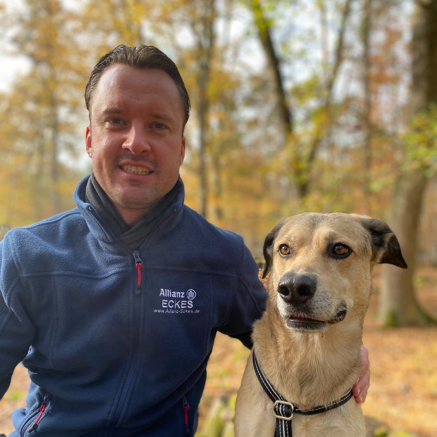 Allianz Versicherung Roman Eckes Windesheim - Profilbild