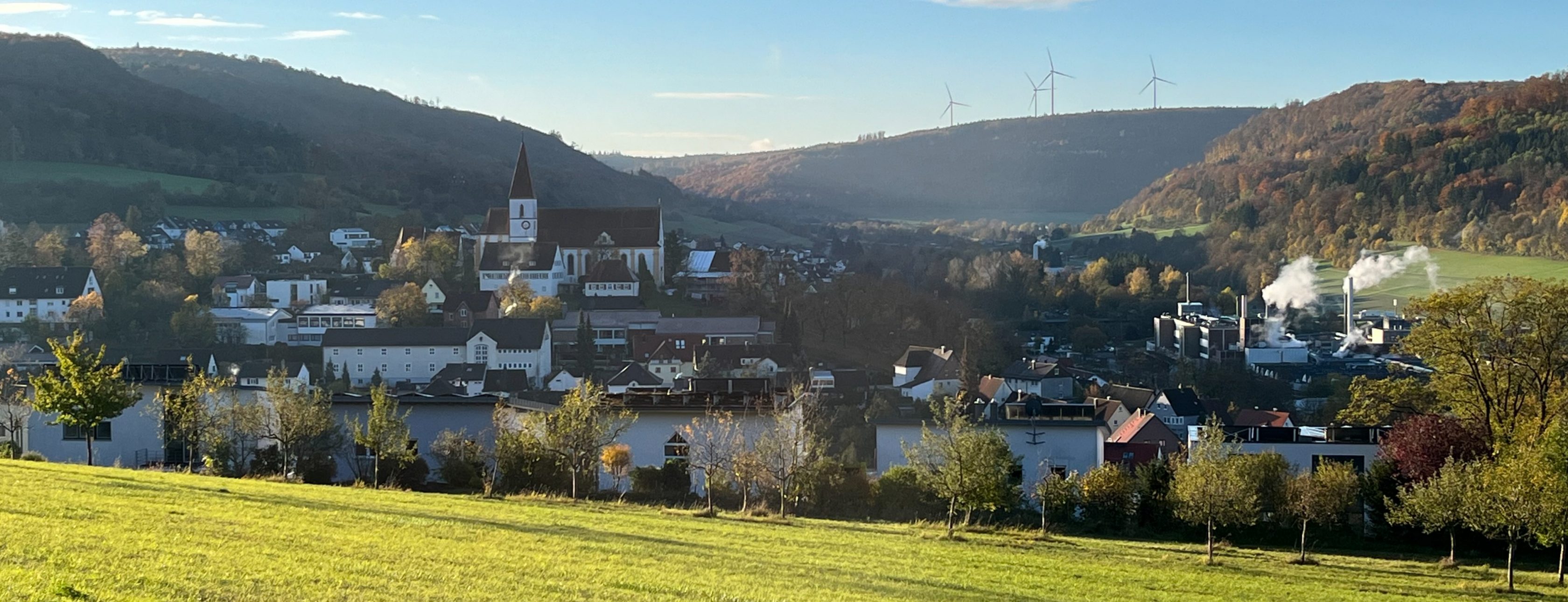 Allianz Versicherung Markus Friedel Aalen - Urlaub Öffnungszeiten August25
