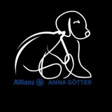 Allianz Versicherung Anna Götter Alfeld Leine - Tierkrankenversicherung rockt ! 