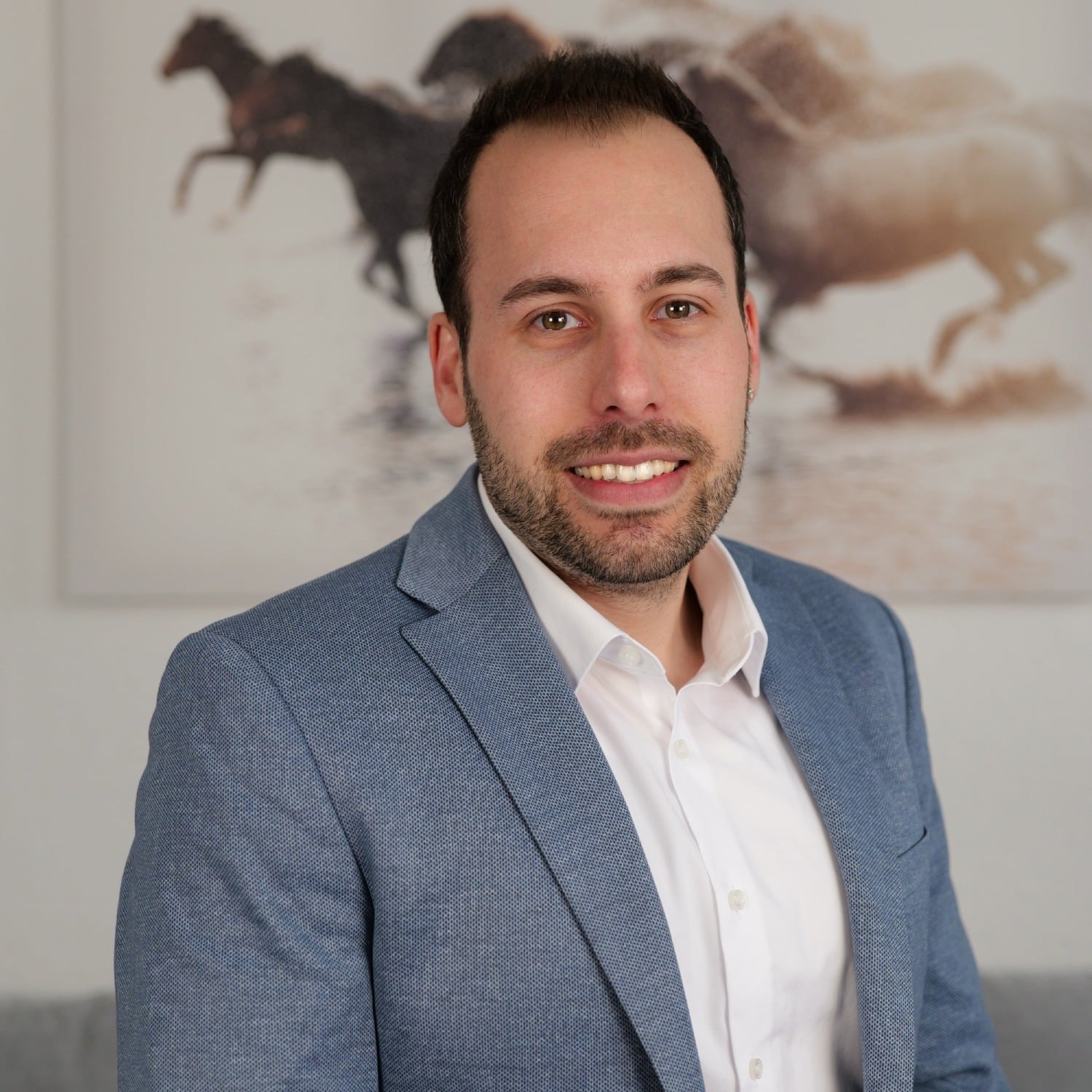 Allianz Versicherung Hemerich und Poll OHG Meerbusch - Timo Hemerich