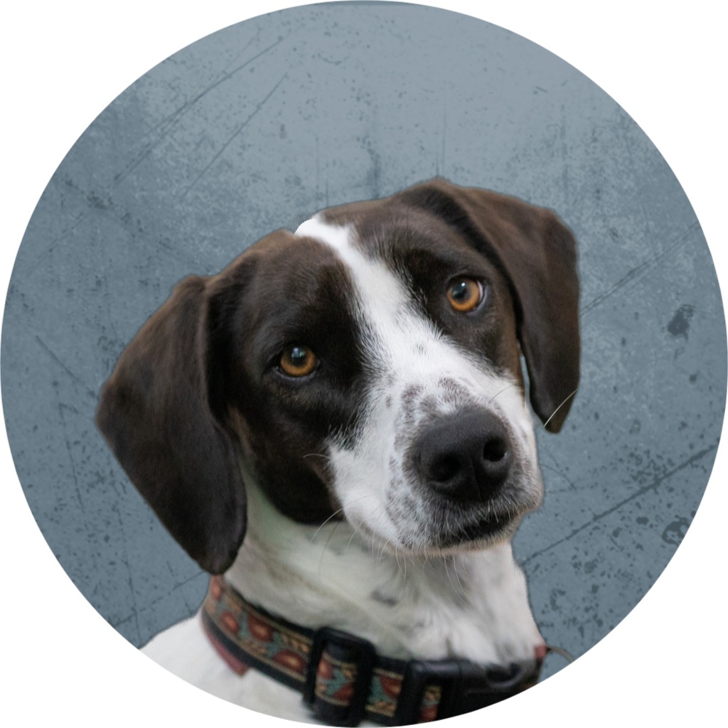 Allianz Versicherung Alexander Herkenroth Weingarten - Lori