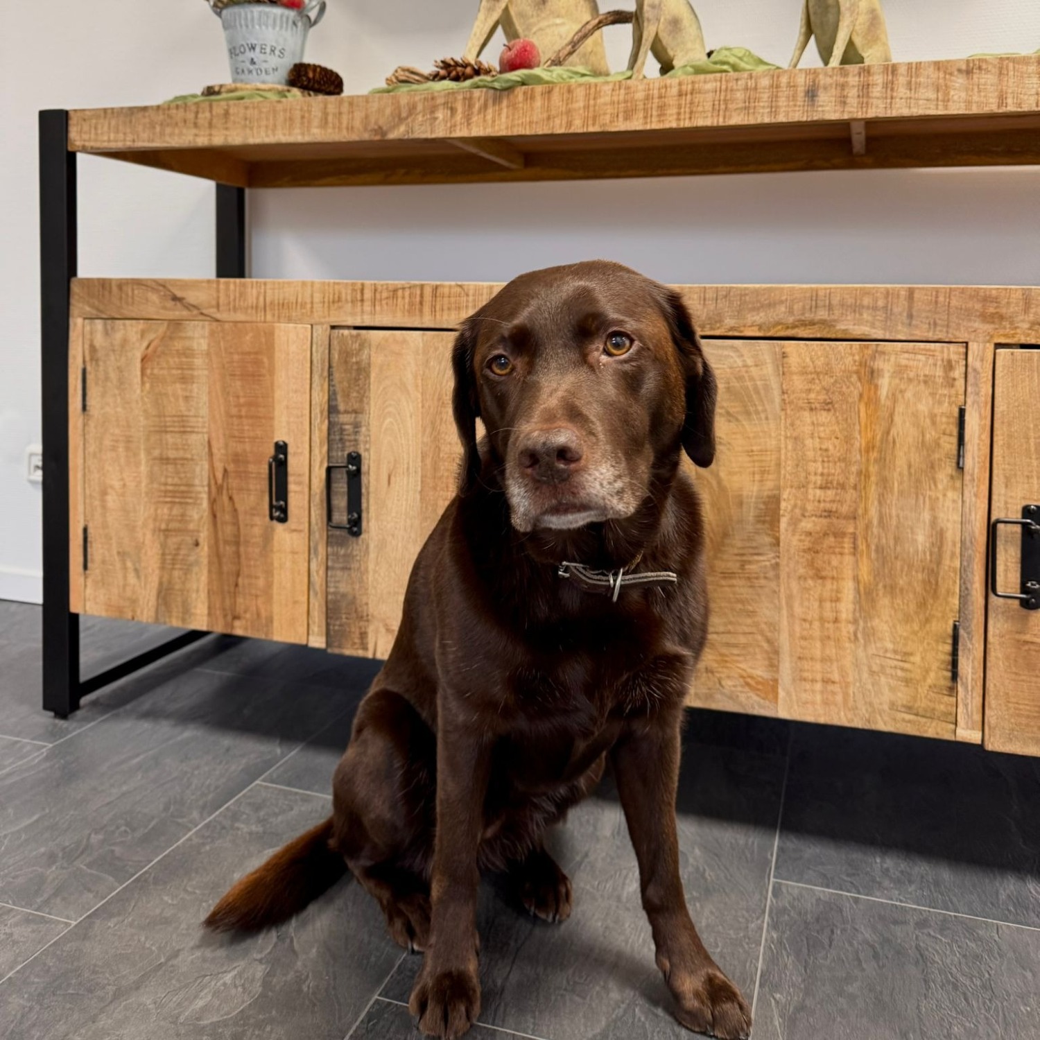 Allianz Versicherung Hundt und Majewski OHG Essen - Prinzessin Frieda