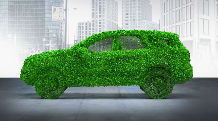Allianz Versicherung Leonhard Holzhammer Mittergars - Auto grün