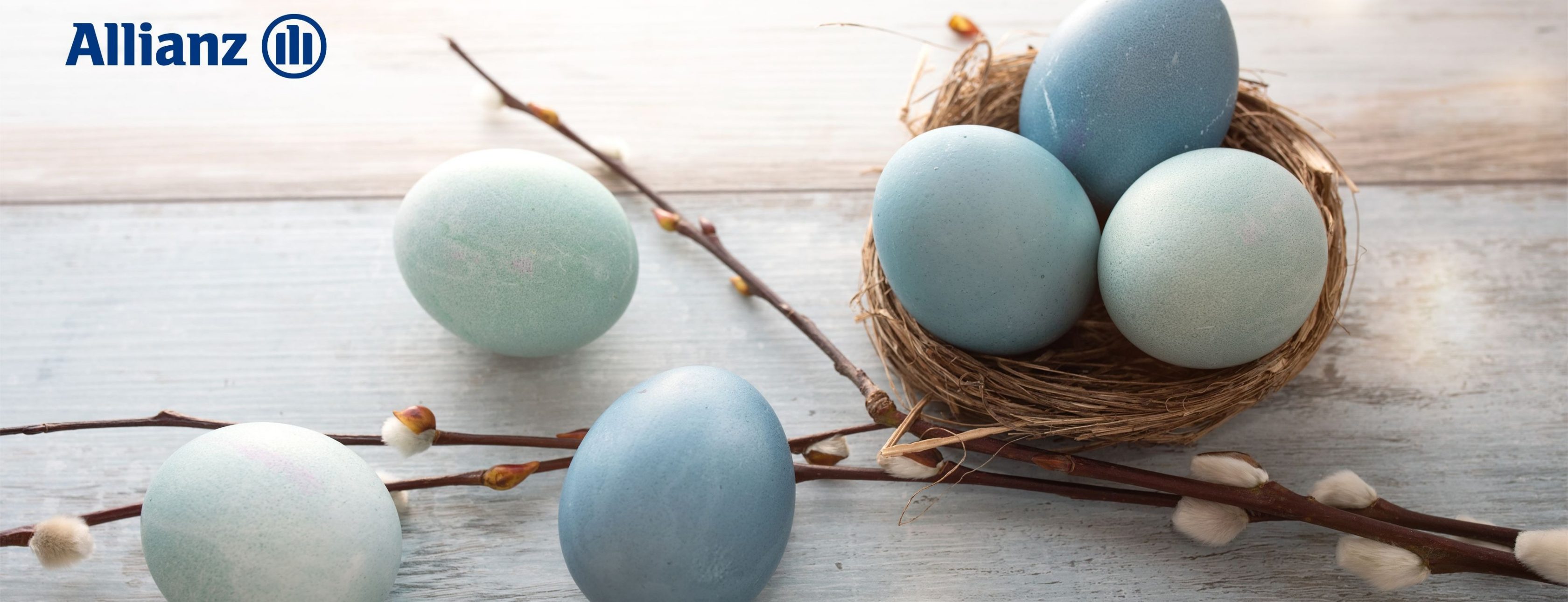 Allianz Versicherung Jahn GbR Eilenburg - Allianz Jahn GbR Eilenburg