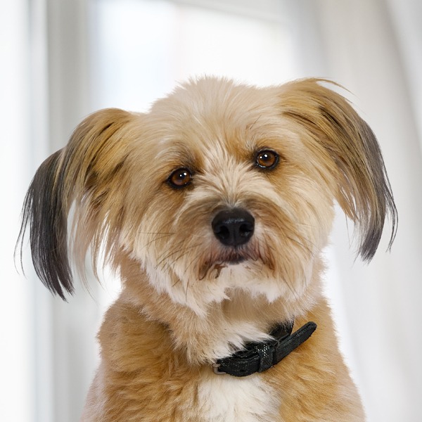 Allianz Versicherung Klimmer OHG Inh. Steffen Schäfer und Holger Klein Obernburg am Main - Mila Rossmann