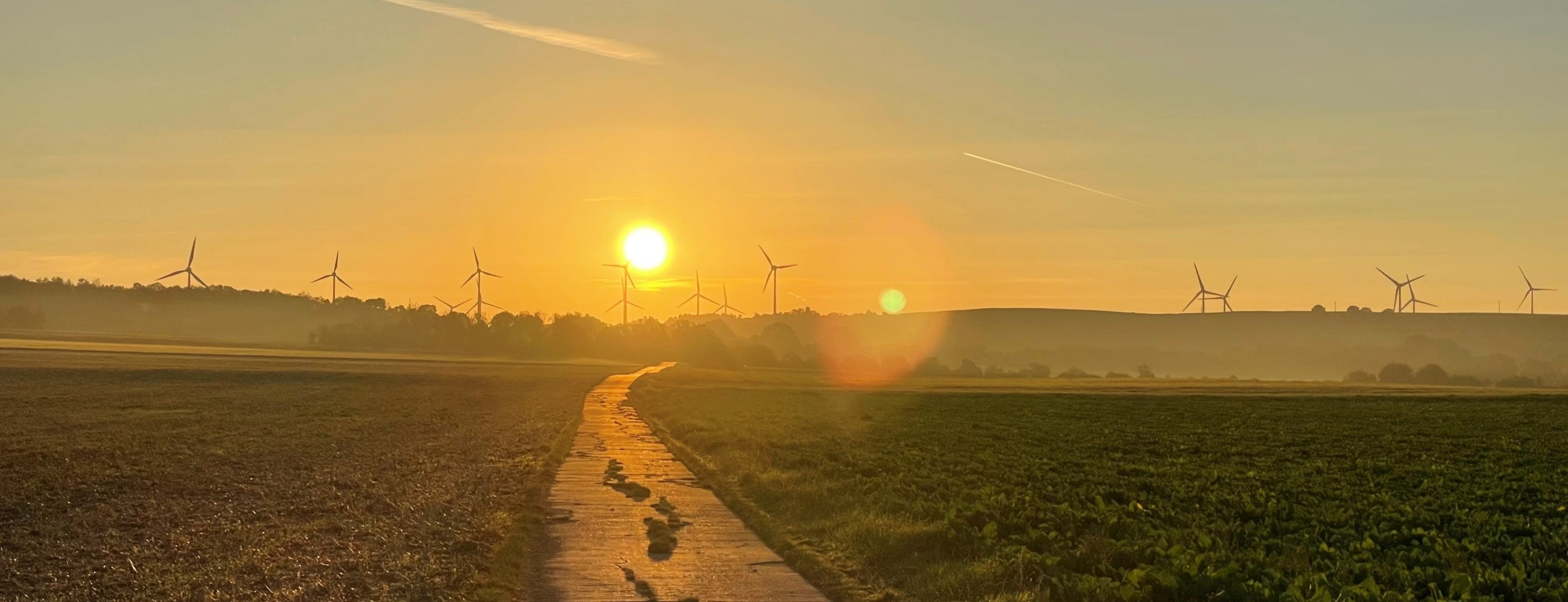 Allianz Versicherung Thomas Krebs Mainz - Sonnenaufgang über Rheinhessen