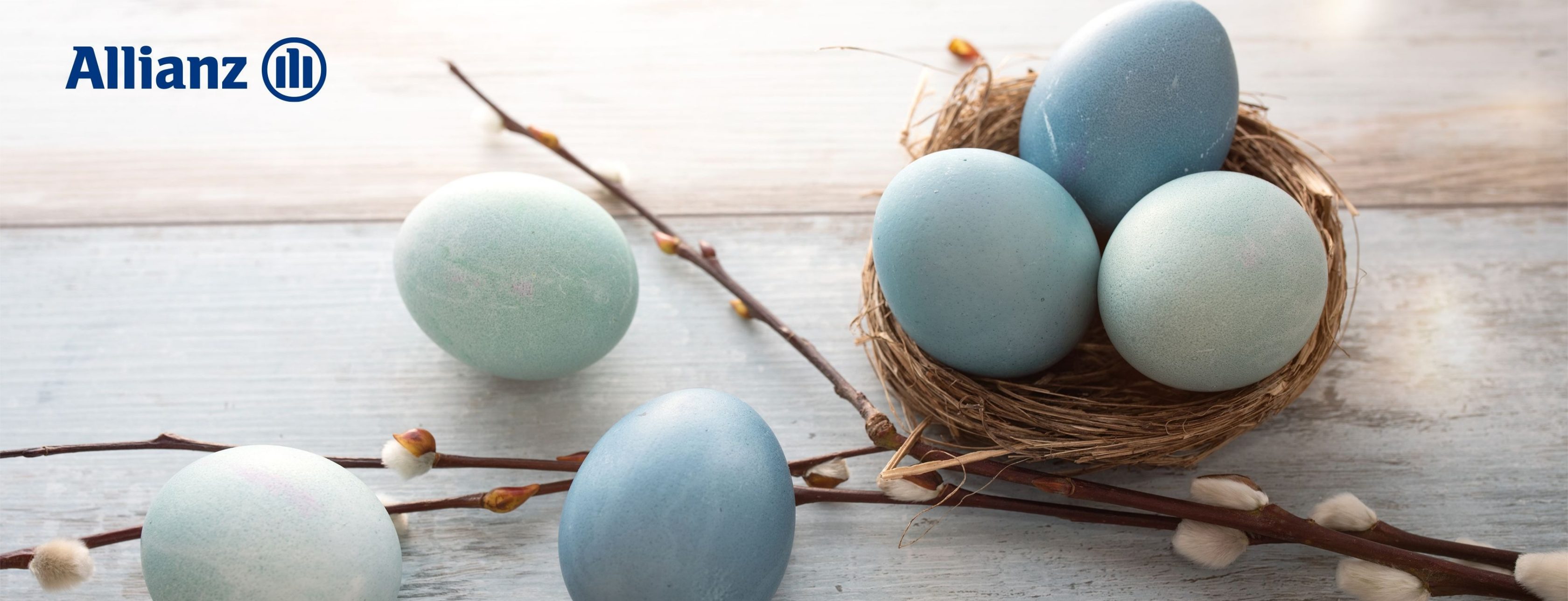 Allianz Versicherung Yasin Kurtman Aschaffenburg - Allianz Yasin Kurtman Aschaffenburg Versicherungen