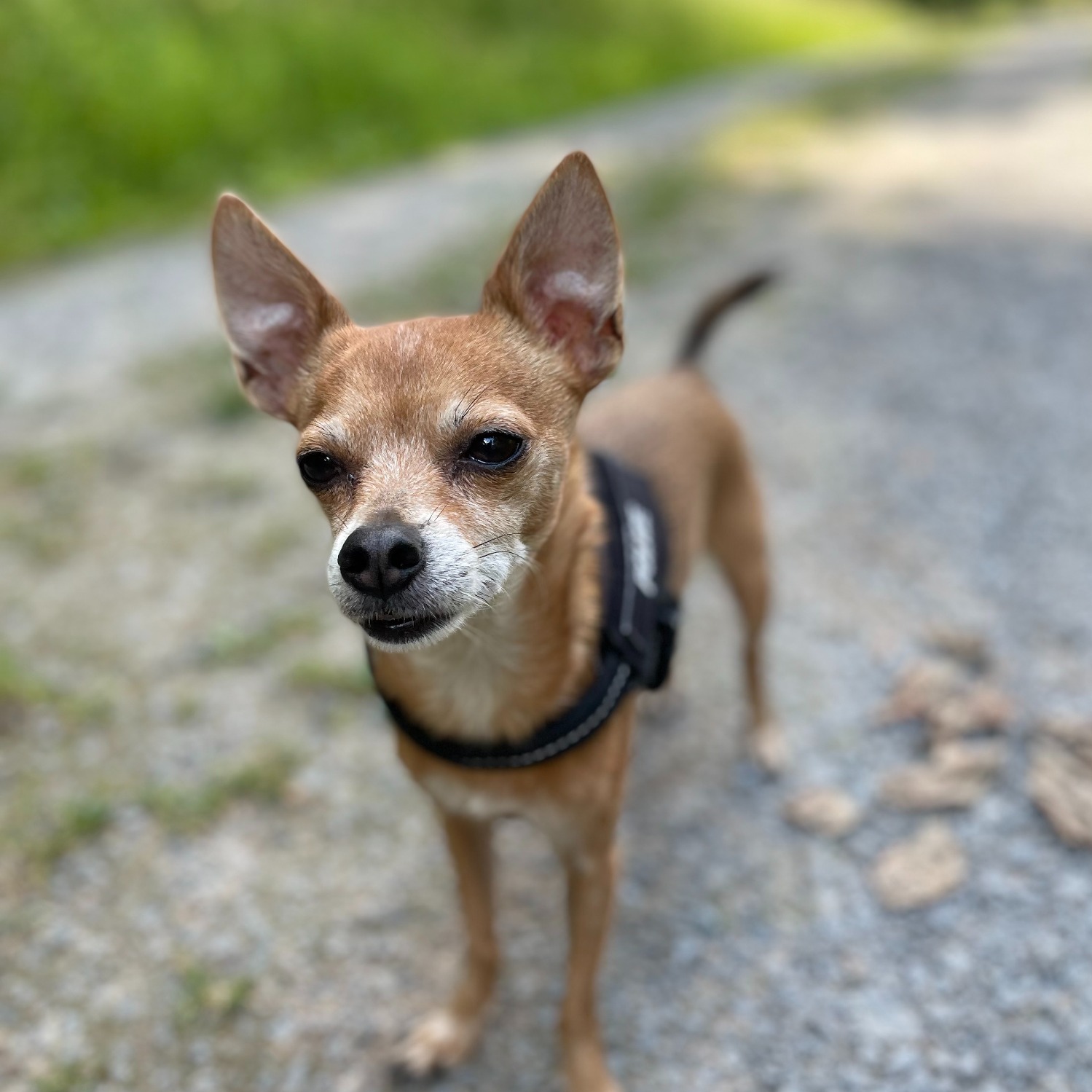 Allianz Versicherung Yasin Kurtman Aschaffenburg - Aslan Kurtman