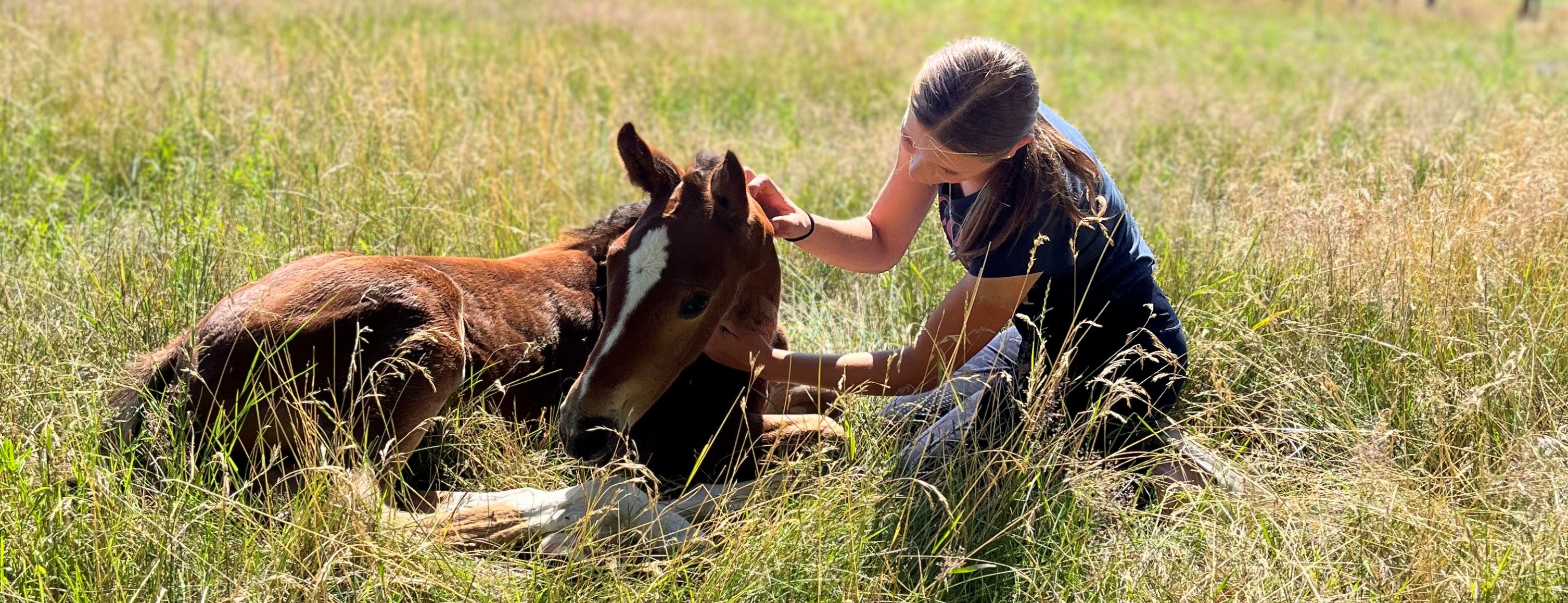 Allianz Versicherung Henrik Lohmann Buchholz - Versicherung Buchholz Tostedt Baufinanzierung BU