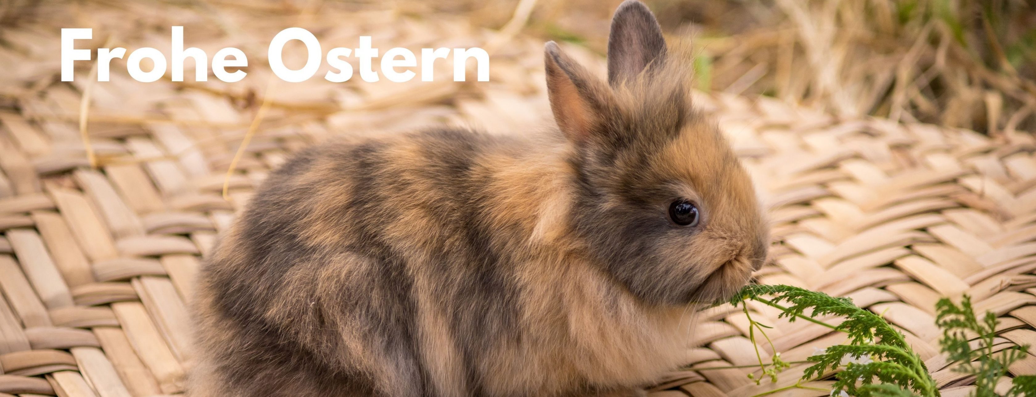 Allianz Versicherung Johann Neumeyer Inh. Johannes Neumeyer Berching - Johannes Neumeyer Agenturinhaber