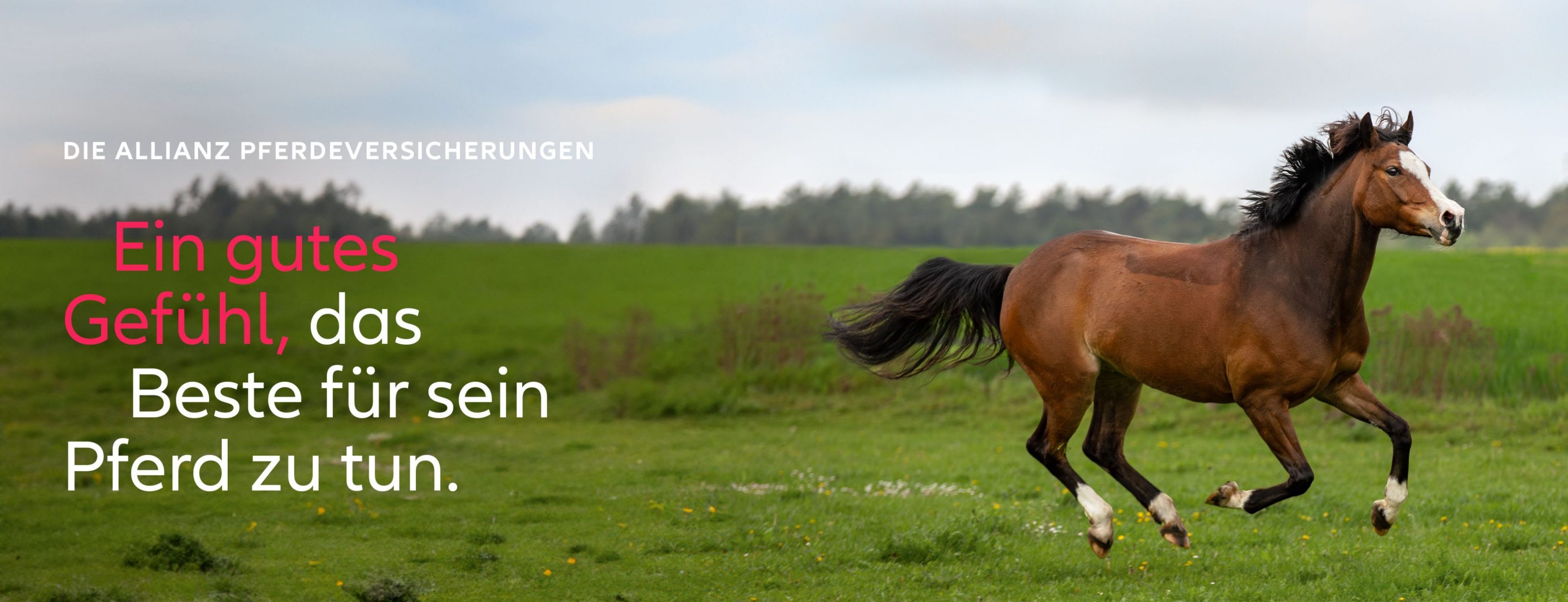 Allianz Versicherung Torsten Peterhansl Igersheim - Allianz Hauptvertretung Torsten Peterhansl