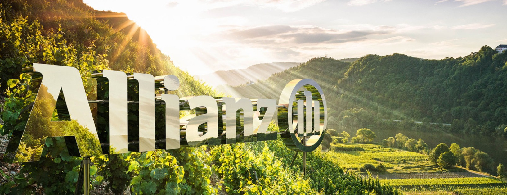 Allianz Versicherung Picard und Picard GbR Wernau Neckar - Weinberge