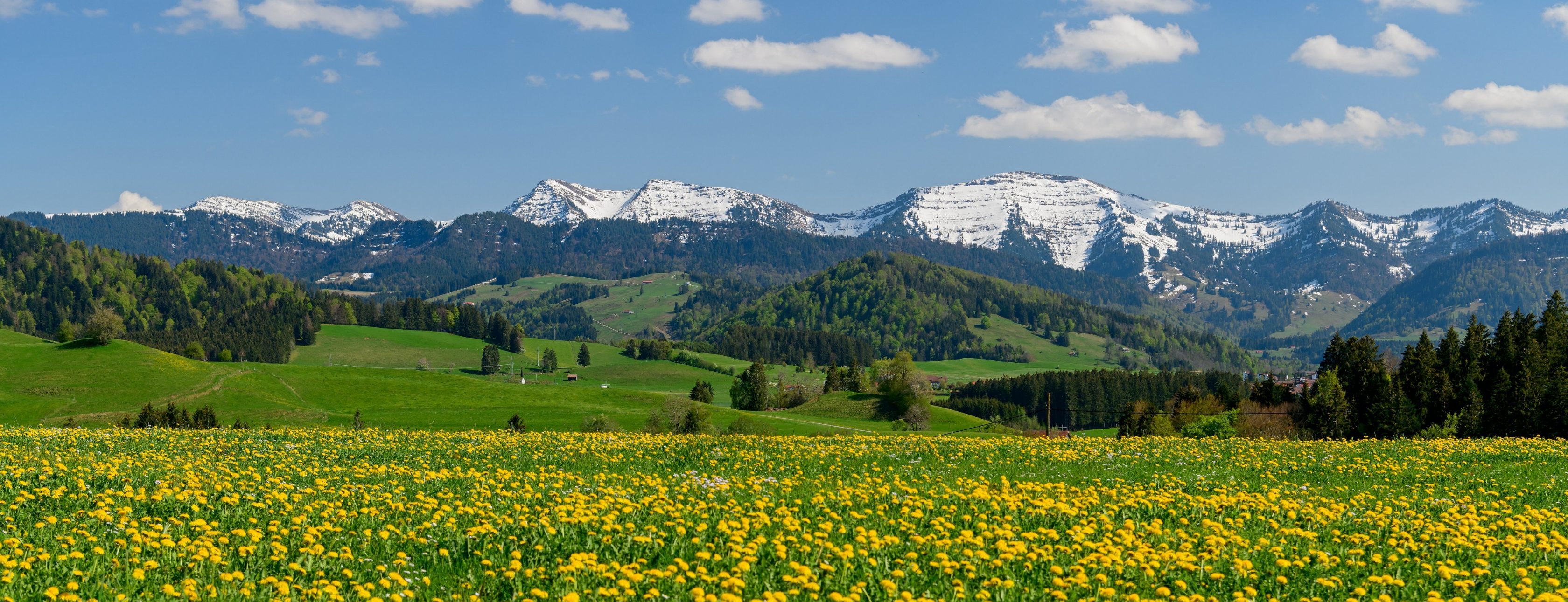 Allianz Versicherung Michael Piechatzek Lindenberg im Allgäu - Titelbild