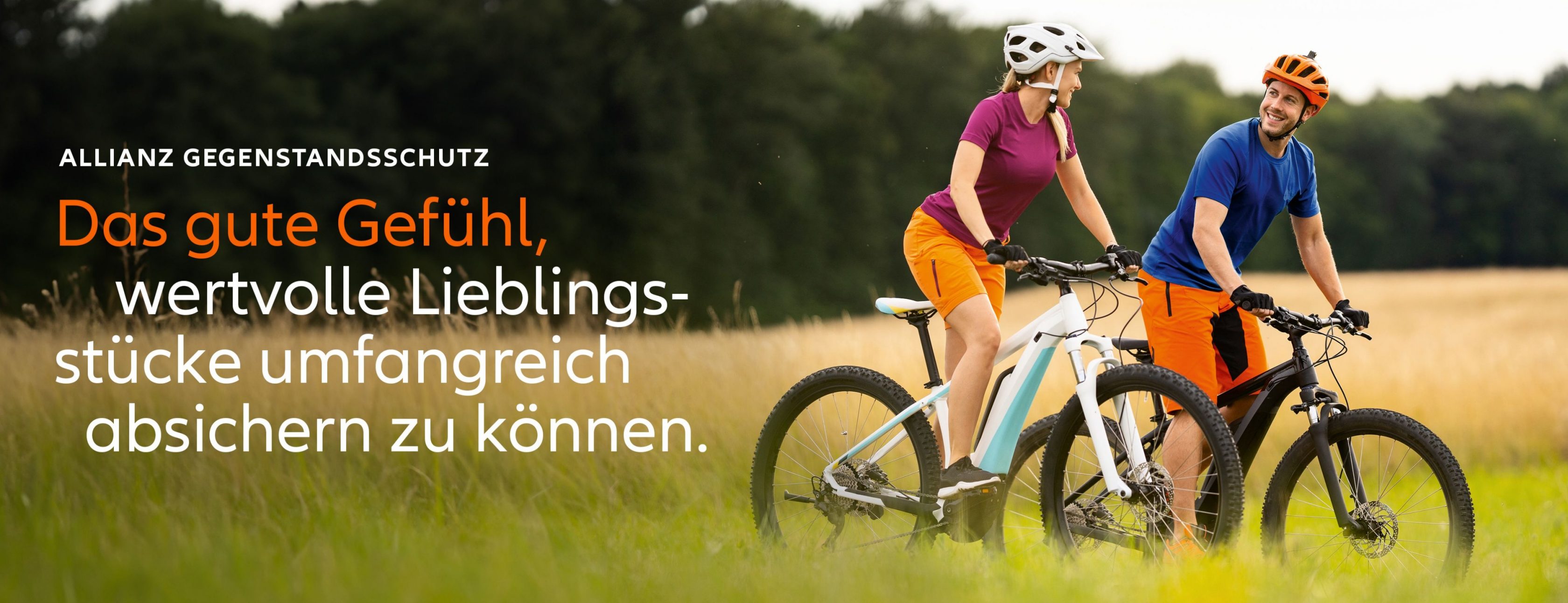 Allianz Versicherung Stefan Rödler Sinsheim - Agentur Rödler E-Bike Gegenstandsschutz Sinsheim