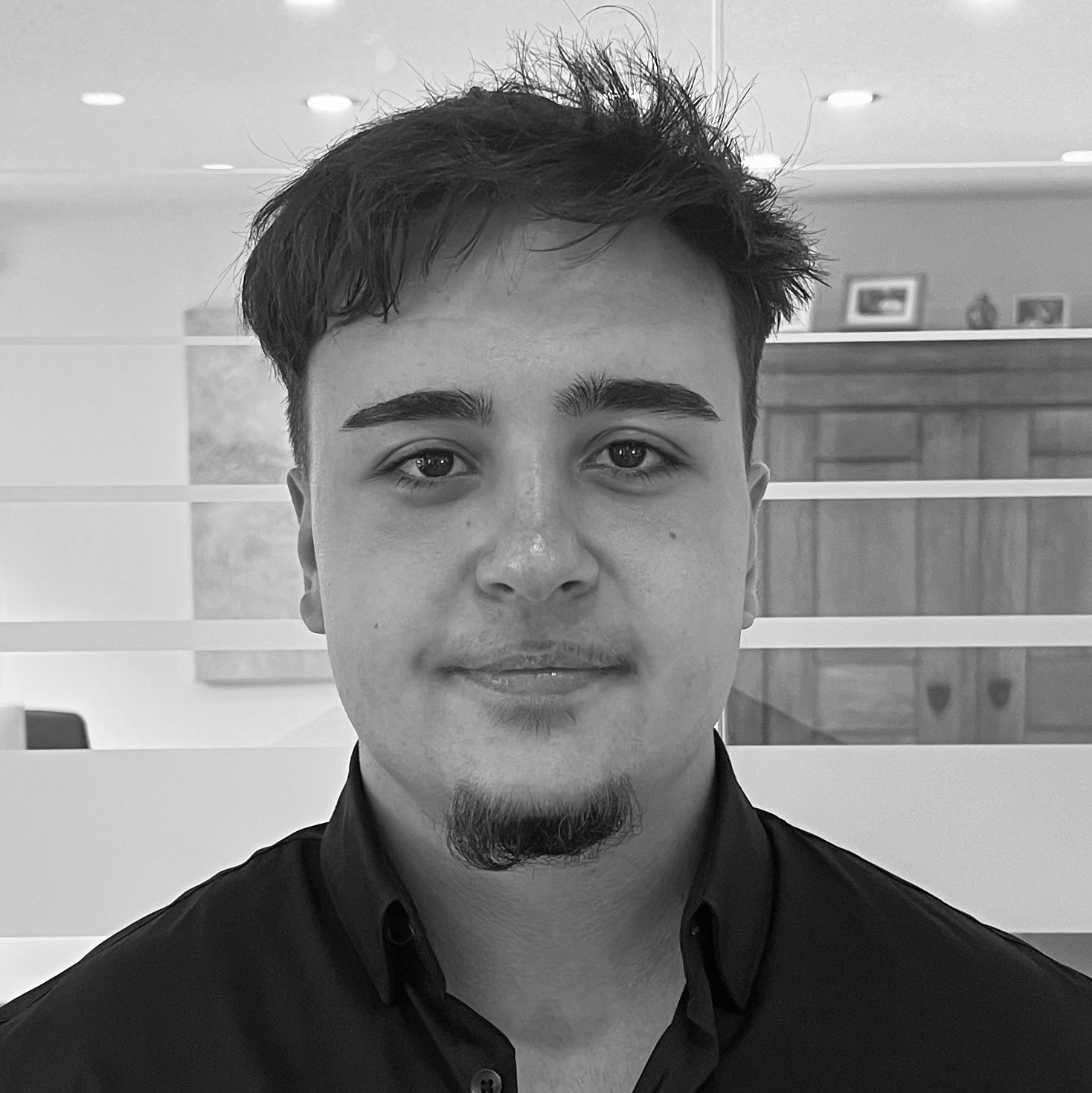 Allianz Versicherung Sachpazidis OHG Ehingen Donau - Kaan Demiroglu