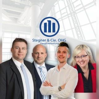 Allianz Versicherung Stegner und Cie OHG Schönheide - Profilbild