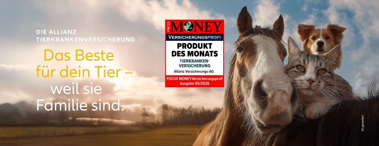 Allianz Versicherung Rene Talke Falkensee - Titelbild