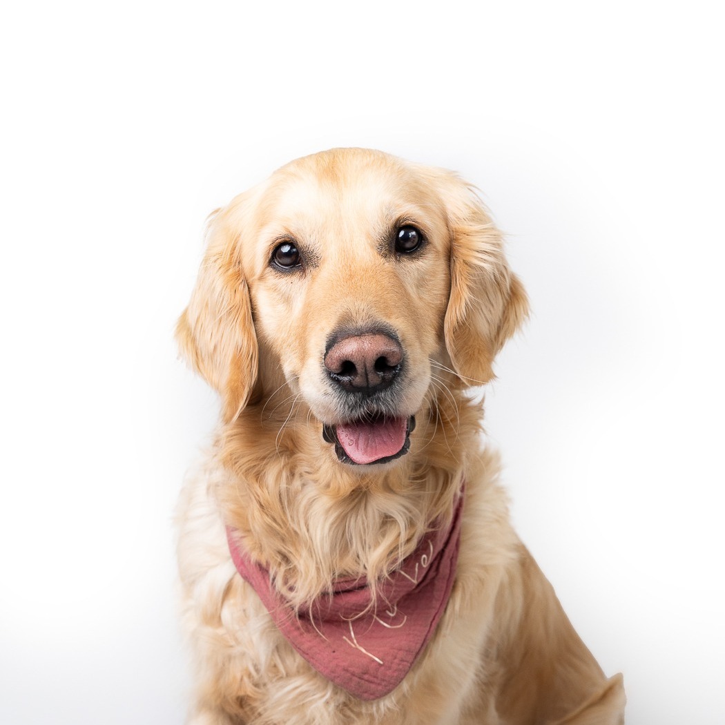 Allianz Versicherung Teufers und Fiolka OHG Gladbeck - 24 Stunden  - für Sie immer über WhatsApp erreichbar