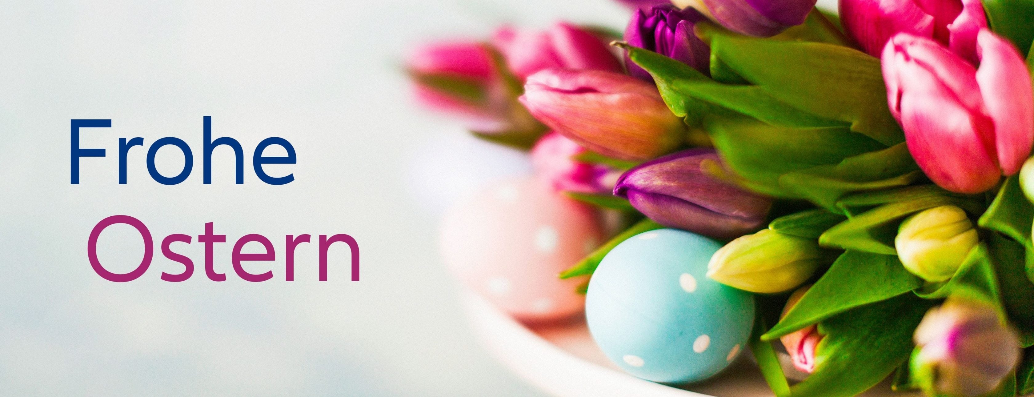 Allianz Versicherung Olaf Topp e.K. Delmenhorst - Allianz Versicherung Vorsorge Vermögen Delmenhorst