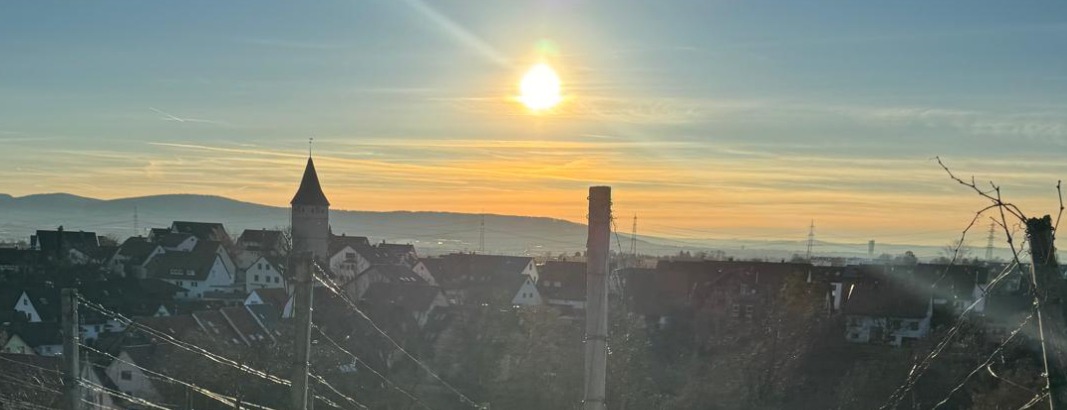 Allianz Versicherung Antonio Vivaldi Korb - Blick auf Korb