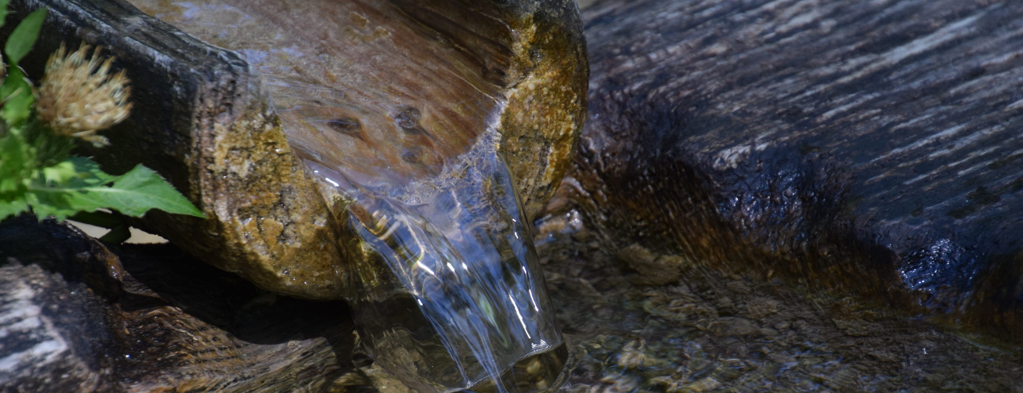 Allianz Versicherung Philipp Vögeler Beilngries - Alles im Fluss