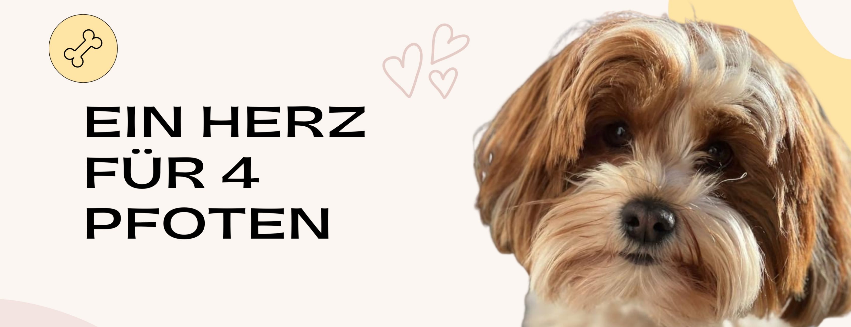 Allianz Versicherung Walthier OHG Zirndorf - Ein Herz auf vier Pfoten. 