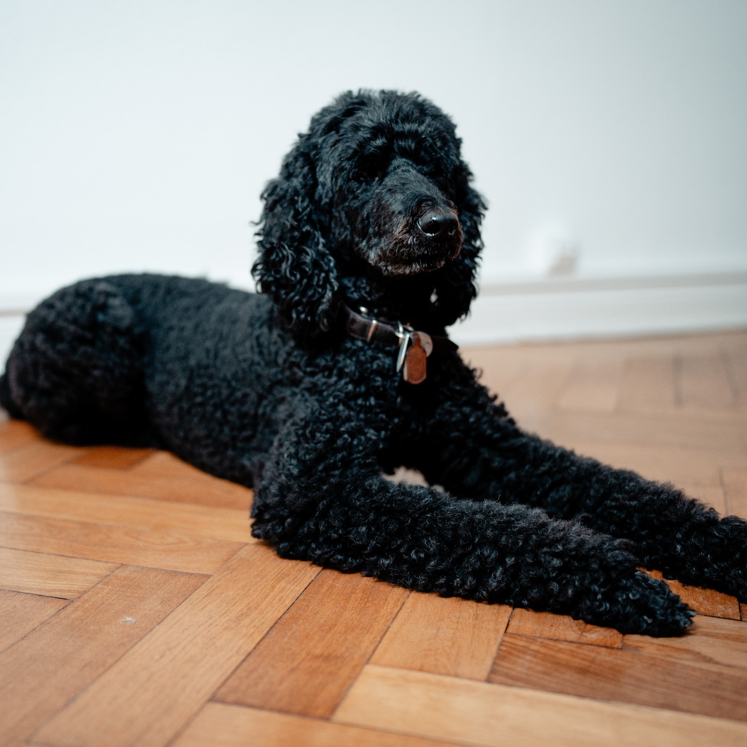 Allianz Versicherung Dipl.-Hdl. Christoph Wegener Berlin - Iason Wegener