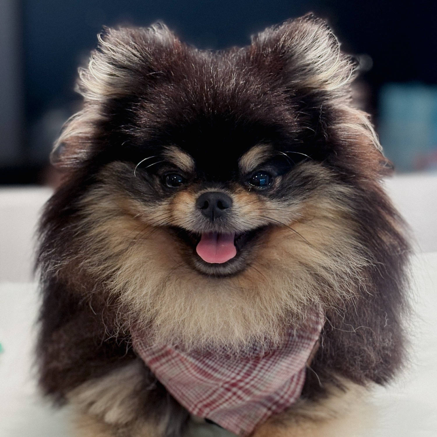 Allianz Versicherung Wouter Kremers Köln - Ares Allianz Kremers Köln Widderwdorf