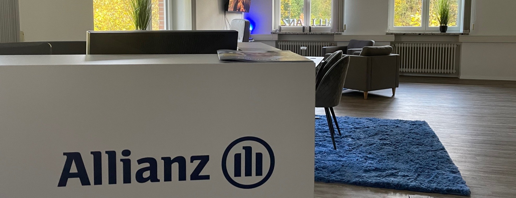 Allianz Versicherung Alexander Kreis Ratzeburg - Titelbild