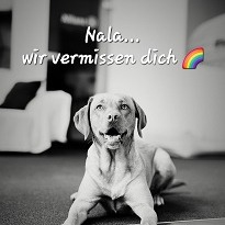 Allianz Versicherung Seufert GbR Kassel - Allianz Versicherung Seufert Kassel Wolfsanger