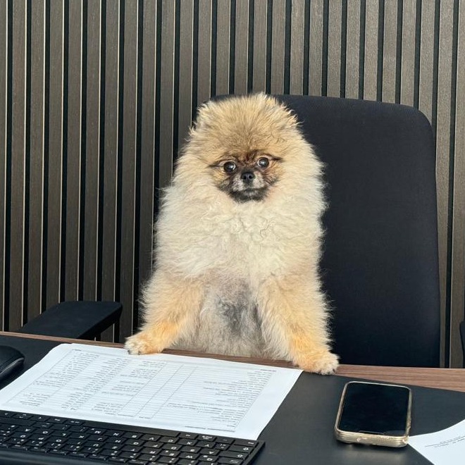 Allianz Versicherung Alexandra Step Dormagen - Iluvya Step