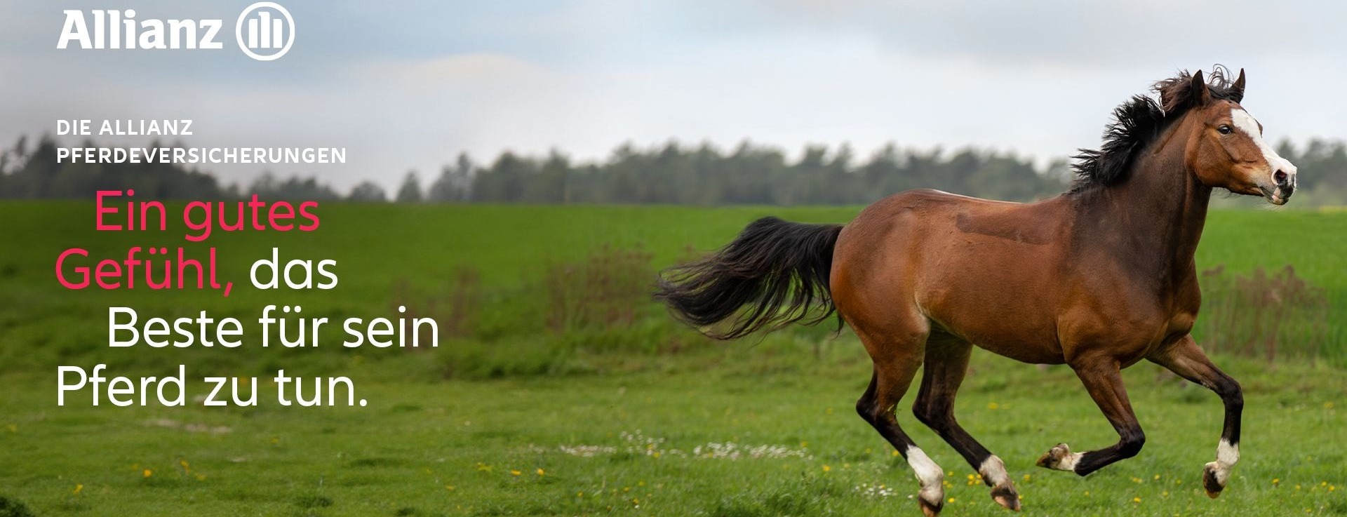 Allianz Versicherung Ali-Pascha Yazici Stuttgart - Sigorta Araba Yesil Kart Allianz Türkiye Almanya