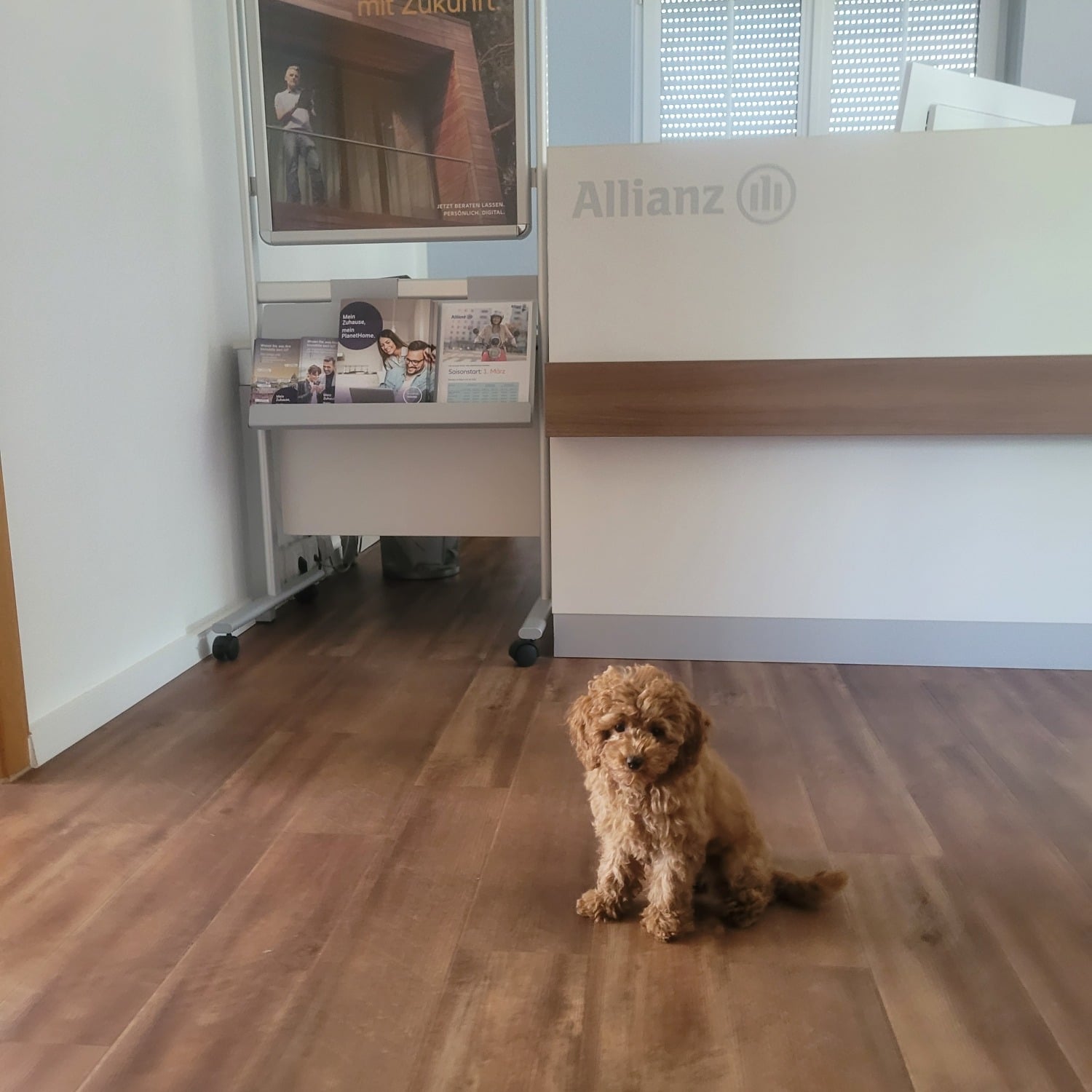 Allianz Versicherung Stephan Drost Königswartha - Maja Drost