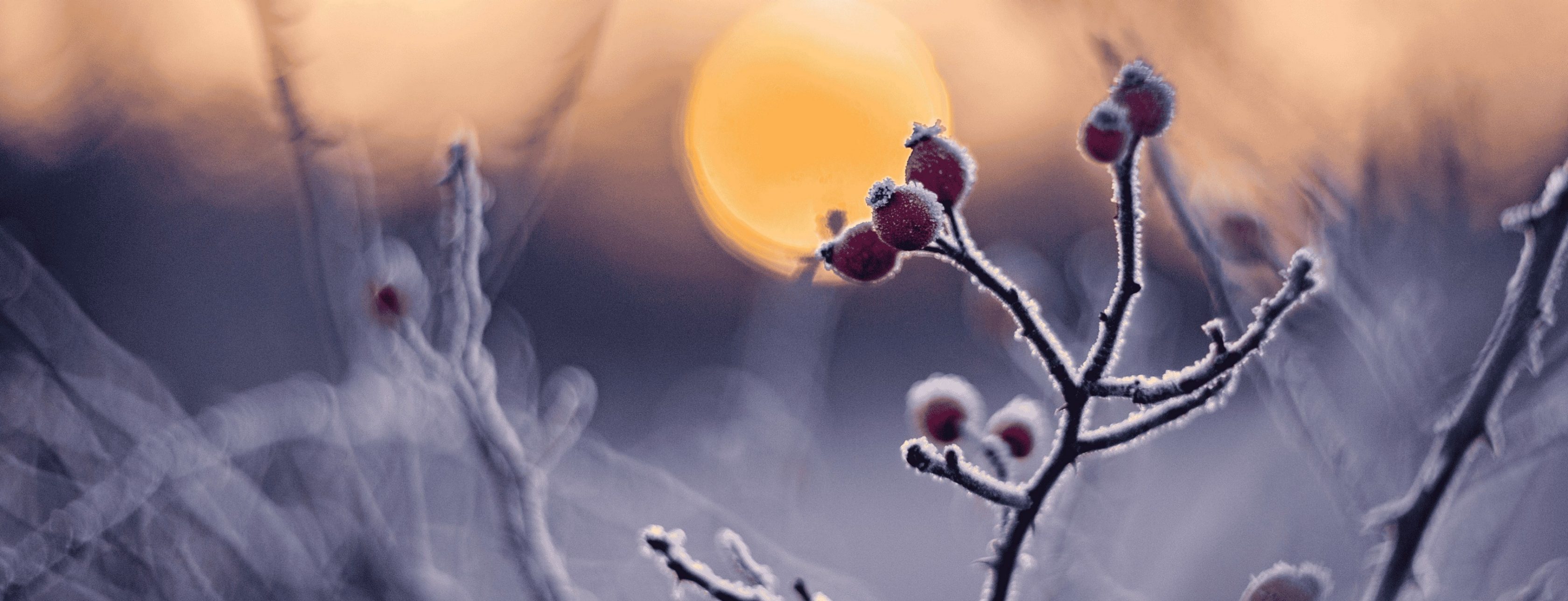 Allianz Versicherung Heiko Freyer Neustadt bei Coburg - Allianz Versicherung Heiko Freyer Neustadt 