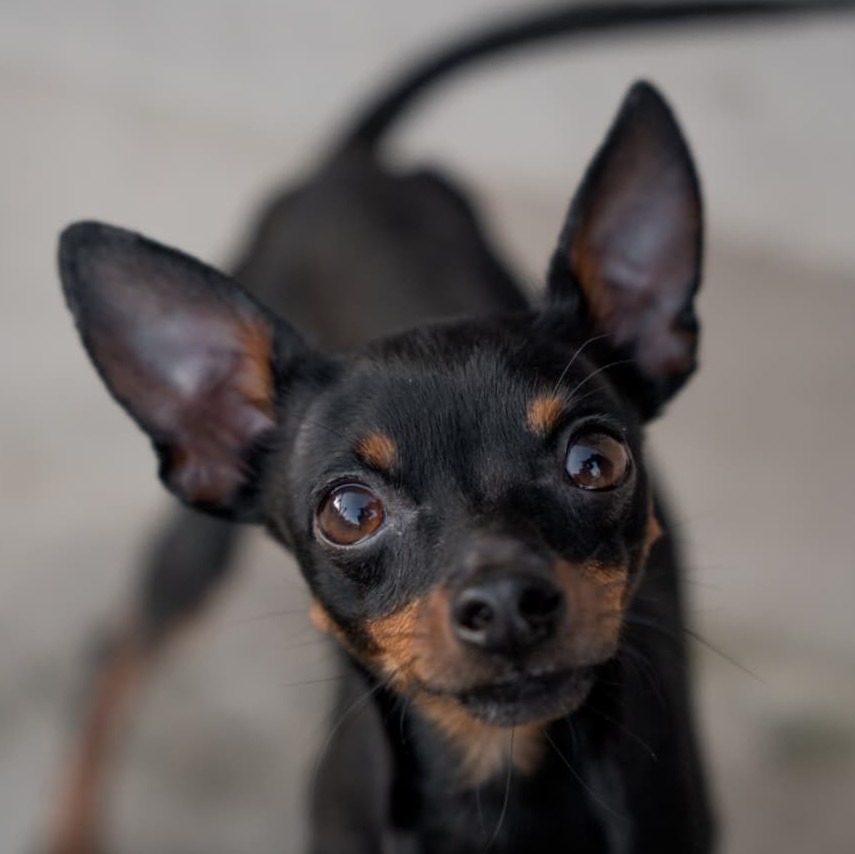 Allianz Versicherung Heiko Freyer Neustadt bei Coburg - Tari