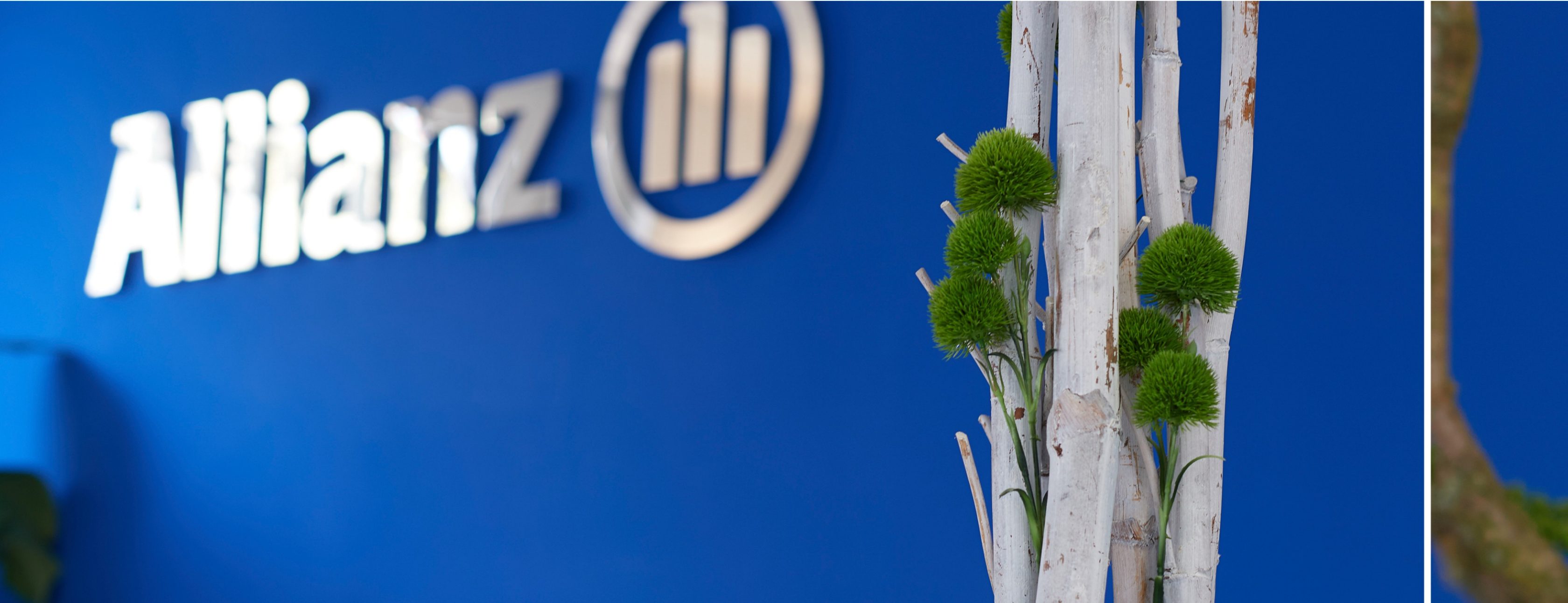 Allianz Versicherung Stefan Wölfel Nürnberg - www.allianz-woelfel.de