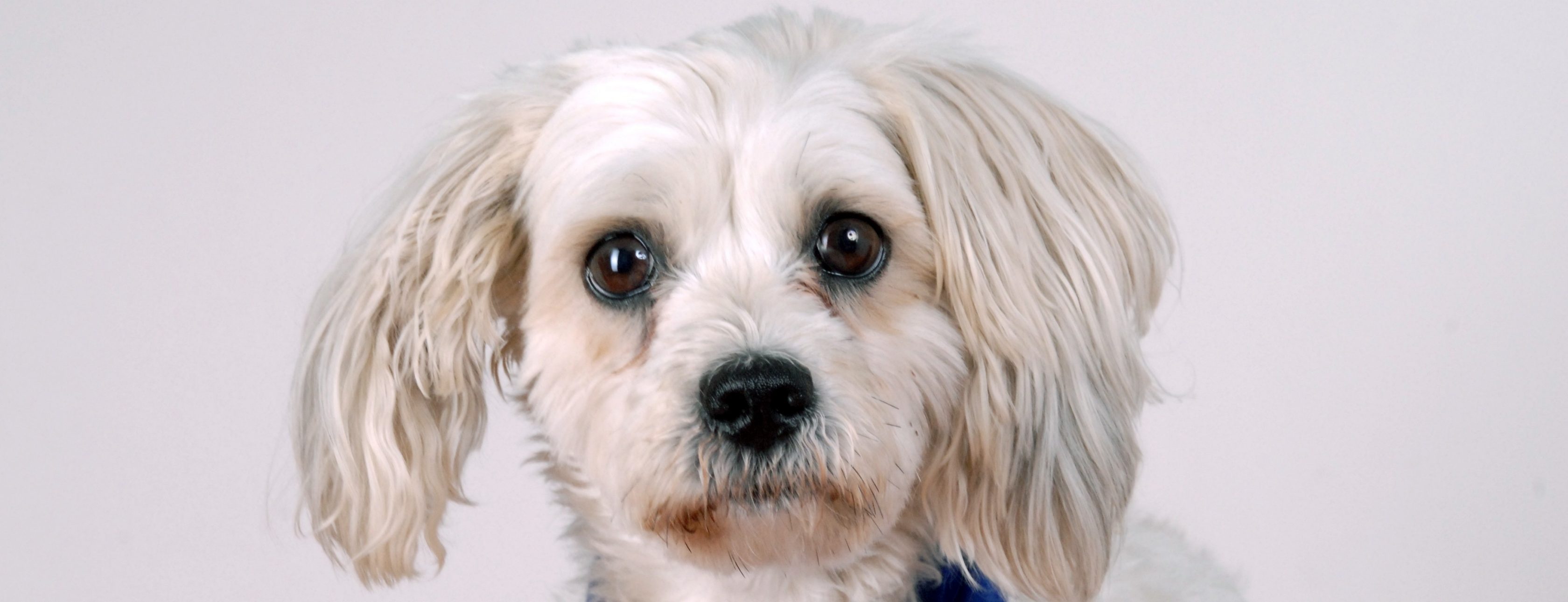 Allianz Versicherung Andreas Hempe Kyritz - Titelbild