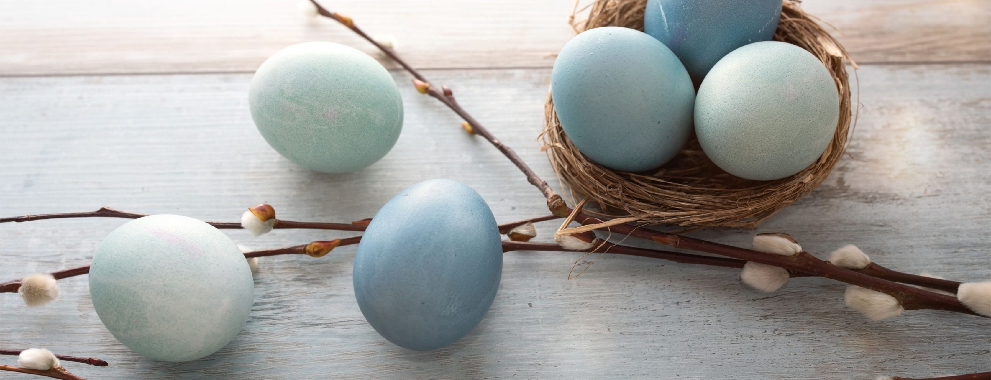 Allianz Versicherung Andreas Regier Olsberg - Allianz Agentur Andreas Regier