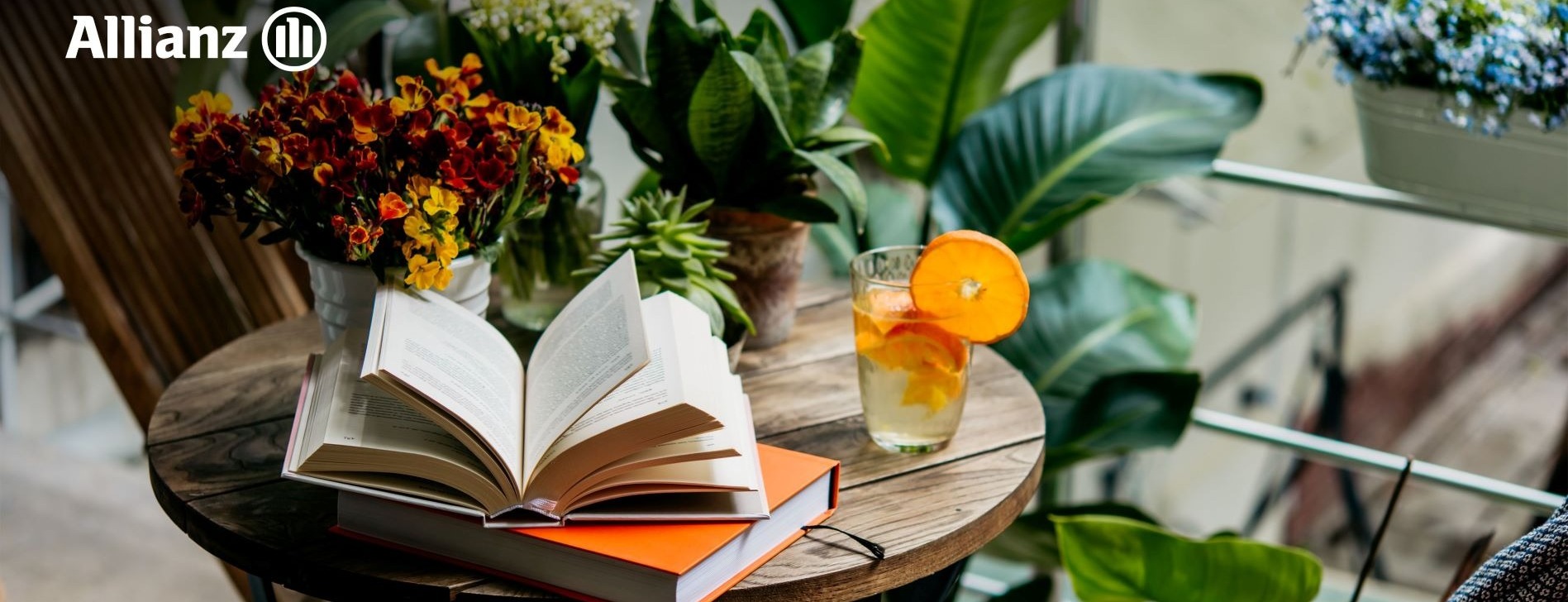 Allianz Versicherung M.Wellbrock Inh. Arndt Wellbrock Sundern Sauerland - Weihnachten 2025