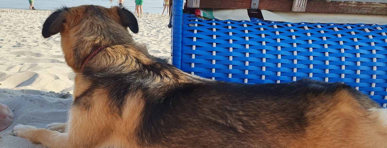 Allianz Versicherung Luithardt,Hofäcker,Mezger GbR Bönnigheim - Herbst 2025