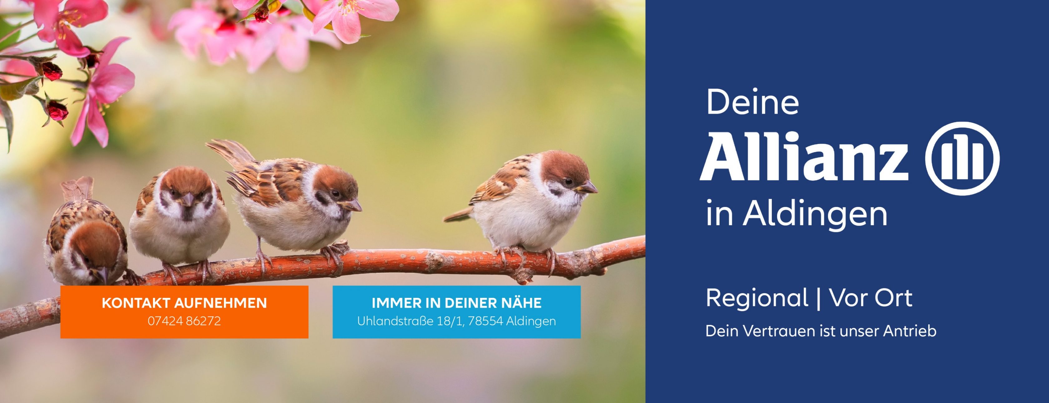 Allianz Versicherung Bernd Zepf Aldingen - Ihre Spezialisten für Versicherungen in Aldingen