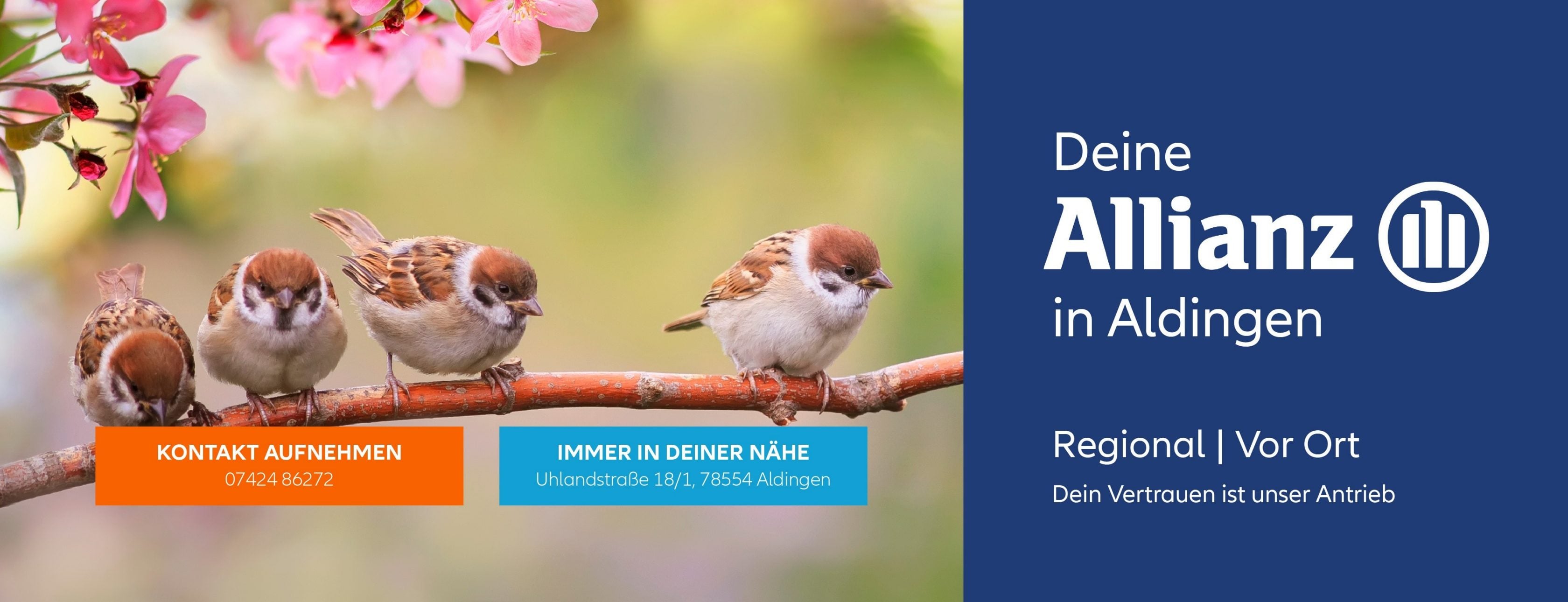 Allianz Versicherung Bernd Zepf Aldingen - Deine sachkundige Allianz Versicherung in Aldingen